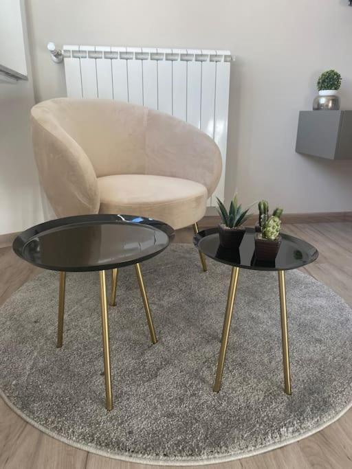 Micheli Apartment Firenze Bagian luar foto